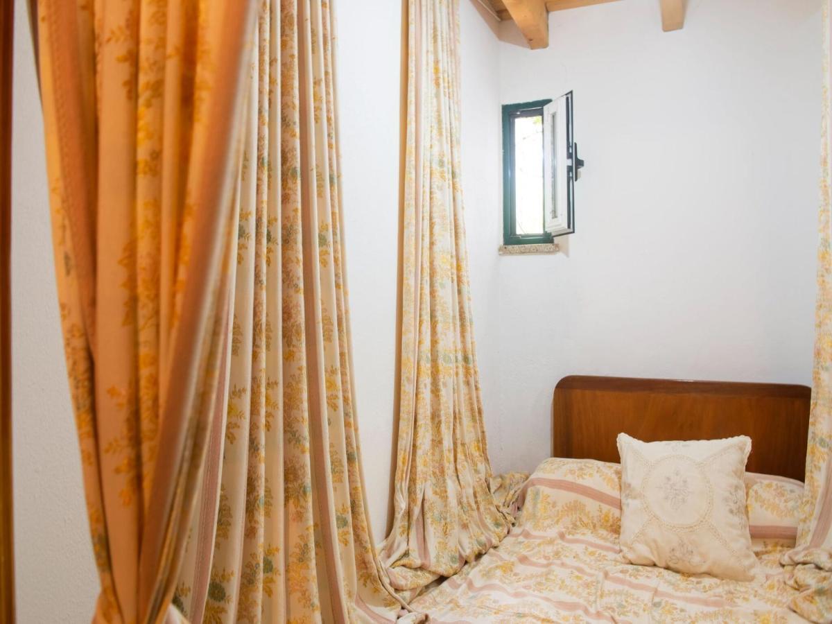 Villa House With Authentic Tiling And Antique Furniture Montemor-o-Novo Exterior foto